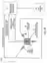 Fig. 09 - Reflectance sensor for integral illuminant-weighted CIE color matching filters
