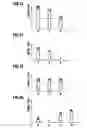 Fig. 08 - Display apparatus