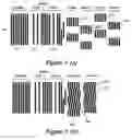 Fig. 04 - Systems and methods for multipass servowriting with a null burst pattern