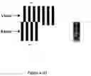 Fig. 11 - Systems and methods for multipass servowriting with a null burst pattern