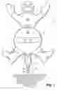 Fig. 02 - Floodlight-supported decorative body and mount system