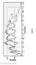 Fig. 08 - Multicomponent marine geophysical data gathering system
