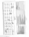 Fig. 04 - Slot-based transmission synchronization mechanism in wireless mesh networks