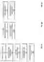 Fig. 13 - Method and apparatus for performing video decoding in a multi-thread environment