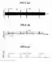 Fig. 07 - Noise removal device
