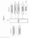 Fig. 08 - Image forming apparatus with toner recovery system
