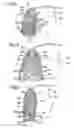 Fig. 03 - Composite blade