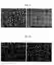 Fig. 04 - Solid-solution powder, method to prepare the solid-solution powder, cermet powder including the solid-solution powder, method to prepare the cermet powder, cermet using the cermet powder and method to prepare the cermet