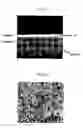 Fig. 06 - Solid-solution powder, method to prepare the solid-solution powder, cermet powder including the solid-solution powder, method to prepare the cermet powder, cermet using the cermet powder and method to prepare the cermet