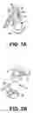 Fig. 08 - Apparatus for aspirating liquids from sealed containers