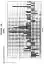 Fig. 35 - Compositions and methods for the treatment of tumor of hematopoietic origin