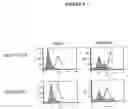 Fig. 05 - Cytotoxicity mediation of cells evidencing surface expression of CD44