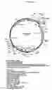 Fig. 43 - Cytotoxicity mediation of cells evidencing surface expression of CD44
