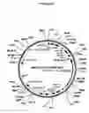 Fig. 46 - Cytotoxicity mediation of cells evidencing surface expression of CD44