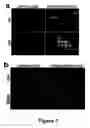 Fig. 07 - Compositions and methods for targeting or imaging a tissue in a vertebrate subject