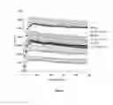 Fig. 02 - Use of a cosmetic of pharmaceutical composition, comprising a lupeol-rich extract as an active ingredient for stimulating the synthesis of heat shock proteins