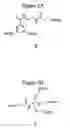 Fig. 03 - Dendrimers as molecular translocators
