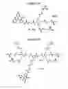 Fig. 05 - Dendrimers as molecular translocators
