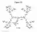 Fig. 07 - Dendrimers as molecular translocators