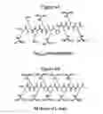 Fig. 08 - Dendrimers as molecular translocators