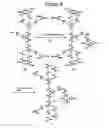 Fig. 12 - Dendrimers as molecular translocators