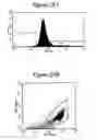 Fig. 32 - Dendrimers as molecular translocators
