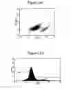 Fig. 33 - Dendrimers as molecular translocators