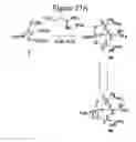 Fig. 37 - Dendrimers as molecular translocators