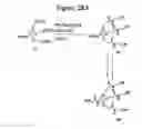 Fig. 40 - Dendrimers as molecular translocators