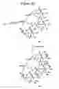 Fig. 42 - Dendrimers as molecular translocators
