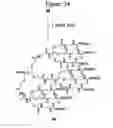 Fig. 48 - Dendrimers as molecular translocators