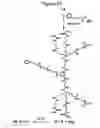 Fig. 49 - Dendrimers as molecular translocators