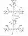 Fig. 50 - Dendrimers as molecular translocators