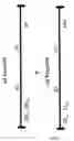 Fig. 04 - Methods and compositions for efficient gene transfer using transcomplementary vectors