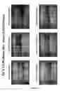 Fig. 17 - Methods and compositions for efficient gene transfer using transcomplementary vectors