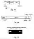 Fig. 06 - Insulin-producing bone marrow derived cells and methods of generating and using same
