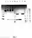 Fig. 02 - Inhibition of secretion from non-neuronal cells