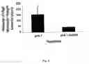 Fig. 09 - Inhibition of secretion from non-neuronal cells