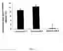 Fig. 10 - Inhibition of secretion from non-neuronal cells