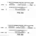 Fig. 09 - Glycoprotein VI and uses thereof