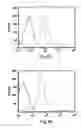 Fig. 05 - Compositions and methods for promoting or inhibiting angiogenesis