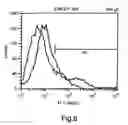Fig. 10 - Compositions and methods for promoting or inhibiting angiogenesis