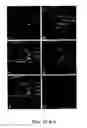 Fig. 12 - Compositions and methods for promoting or inhibiting angiogenesis