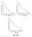 Fig. 33 - KDR peptides and vaccines comprising the same