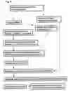 Fig. 04 - Rapid, efficient purification of HSV-specific T-lymphocytes and HSV antigens identified via same