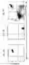 Fig. 07 - Rapid, efficient purification of HSV-specific T-lymphocytes and HSV antigens identified via same