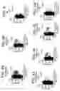 Fig. 07 - Epitopes of human immunodeficiency virus-1