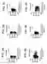 Fig. 08 - Epitopes of human immunodeficiency virus-1