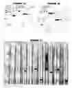 Fig. 02 - Immunisation against 