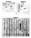Fig. 06 - Immunisation against 